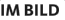 Im Bild